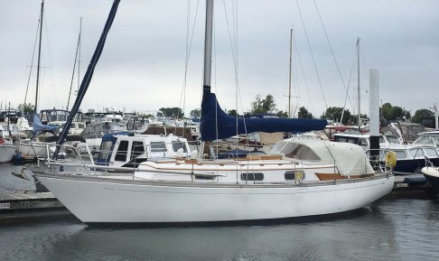 Nordia 35, Sailing Yacht for sale by Schepenkring Roermond