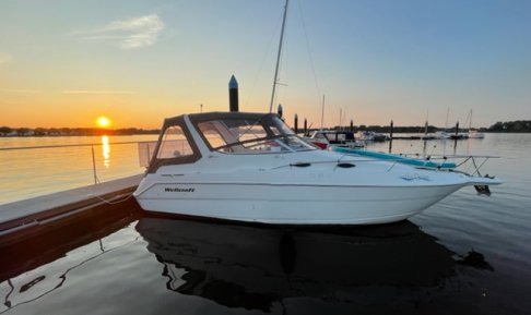 Wellcraft 2600 Martinique, Motorjacht for sale by Schepenkring Roermond