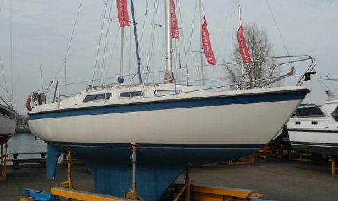 Hurley 800, Segelyacht for sale by Schepenkring Roermond