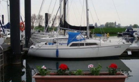 Dehler DELANTA 80 AK, Sailing Yacht for sale by Schepenkring Roermond
