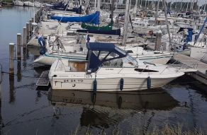 Campion Explorer 672