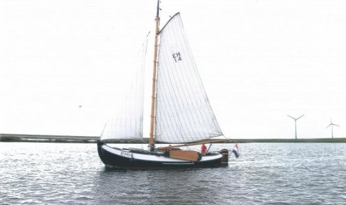 Lemsteraak Visserman, Plat- en rondbodem, ex-beroeps zeilend for sale by Schepenkring Randmeren