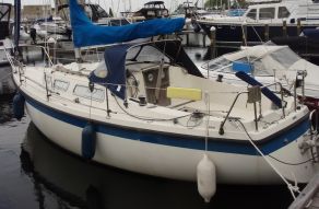 Hurley 800
