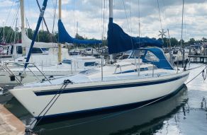 Hanse 291