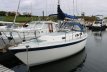 Cal 31