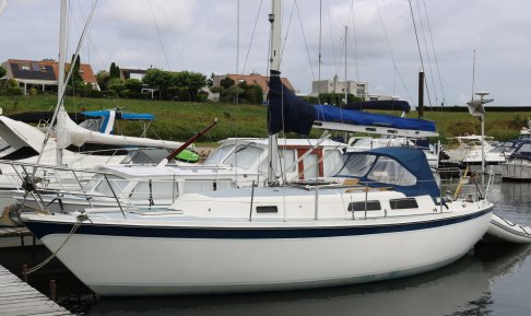Zeilboot Cal 31, Sailing Yacht for sale by Schepenkring Gelderland
