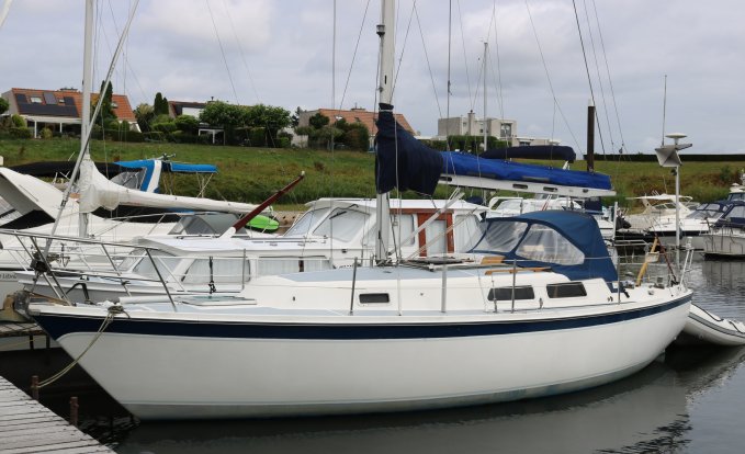 Zeilboot Cal 31, Zeiljacht for sale by Schepenkring Gelderland