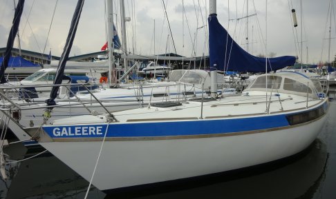 Greyhound 33, Sailing Yacht for sale by Schepenkring Kortgene