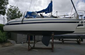 Tes 678 Bt