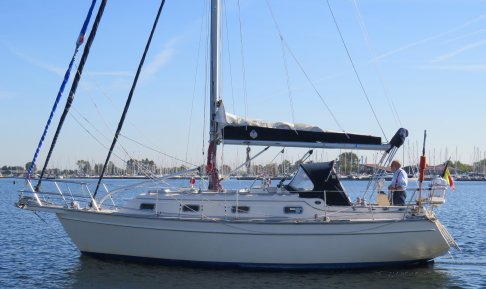 Island Packet 320, Zeiljacht for sale by Schepenkring Kortgene