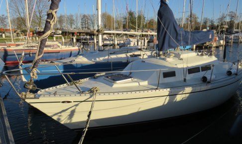 Roy 26, Zeiljacht for sale by Schepenkring Kortgene