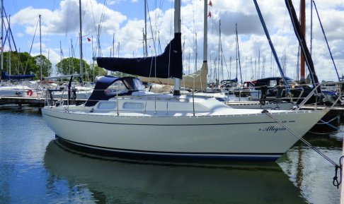 Contessa 28, Zeiljacht for sale by Schepenkring Kortgene