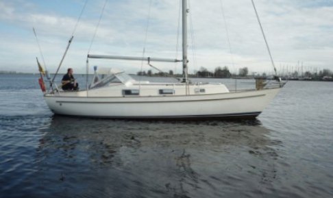 Hallberg Rassy Monsun 31, Zeiljacht for sale by Schepenkring Kortgene