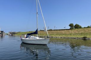 Dehler 31