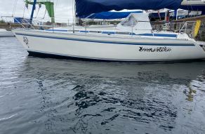 Dynamic 30