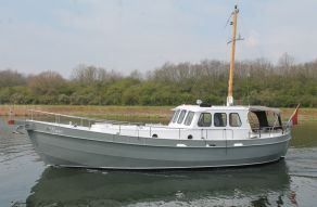 Danish Rose 36