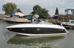 Cobalt 303