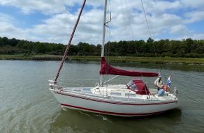 Albin Delta 31