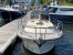 Intercruiser 34