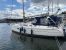 Hunter 36