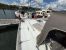 Calypso 43 Frans Maas
