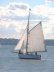 Gaff Cutter 14m