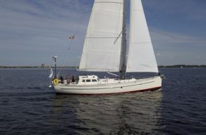 Bestewind 50