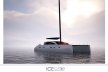 ICE Cat61