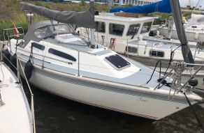 Westerly 260
