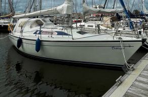 Dehler 31