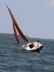 Cornish Shrimper 19 Outboard