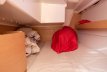 Beneteau First 30