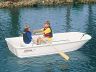 Boston Whaler 110 Tender