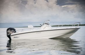 Boston Whaler 170 Dauntless