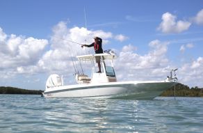 Boston Whaler 240 Dauntless Pro
