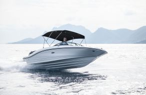 Sea Ray SPX 210 Outboard