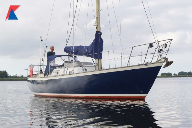Koopmans 31 Cormoran