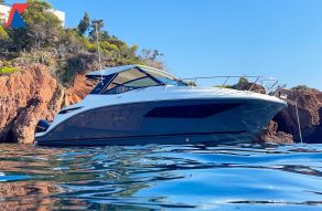 Sea Ray Sundancer 320