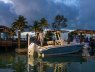 Boston Whaler 220 Dauntless