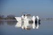Boston Whaler 280 Dauntless