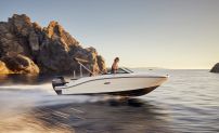 Sea Ray SPX 190 Outboard