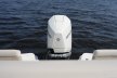 Boston Whaler 250 Dauntless