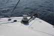 Carver 396 Motor Yacht
