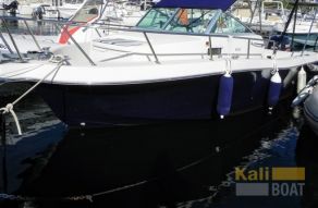 Kelt White Shark 226 Cabine