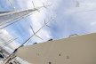 Maxi Dolphin 75 "by Mills Design"