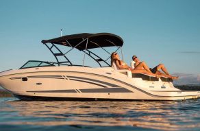 Sea Ray SDX 290