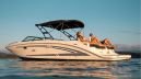 Sea Ray SDX 290