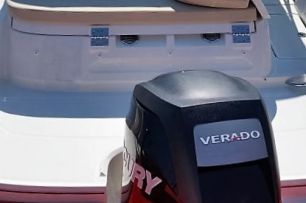 Bayliner VR6 Outboard