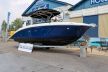 Sea Ray 270 SDX