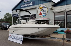 Bayliner Element CC5